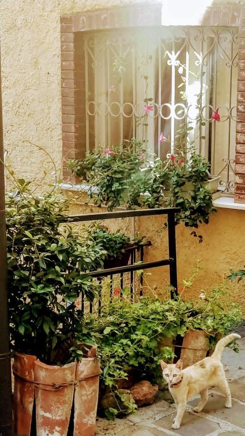 Apartamento Casa Gaia Trivigno Exterior foto